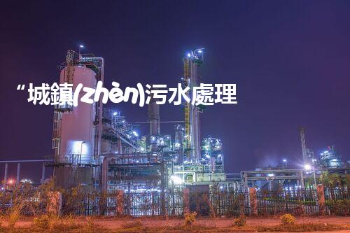 “城鎮(zhèn)污水處理行業(yè)：綠色守護(hù)者，清潔家園的守護(hù)神”